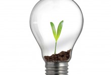 new life in light bulb