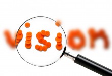 Vision