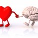 head vs heart