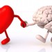 head vs heart