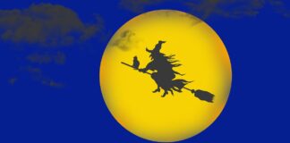 Witch of Wall Street