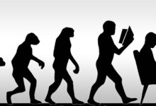 TRADER-EVOLUTION-1